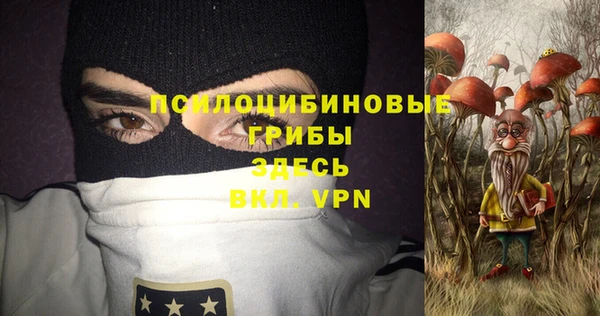 мяу мяу мука Абаза