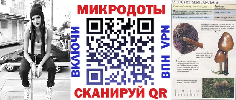 Псилоцибиновые грибы Psilocybine cubensis Хилок