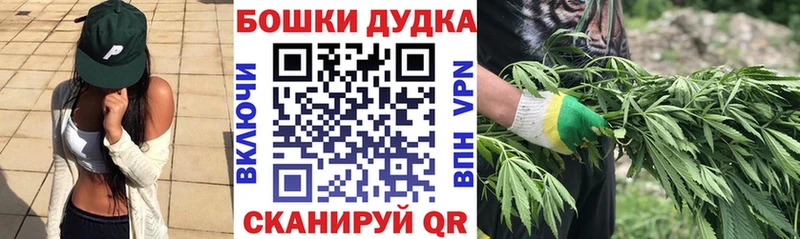 Каннабис планчик  сколько стоит  Хилок 